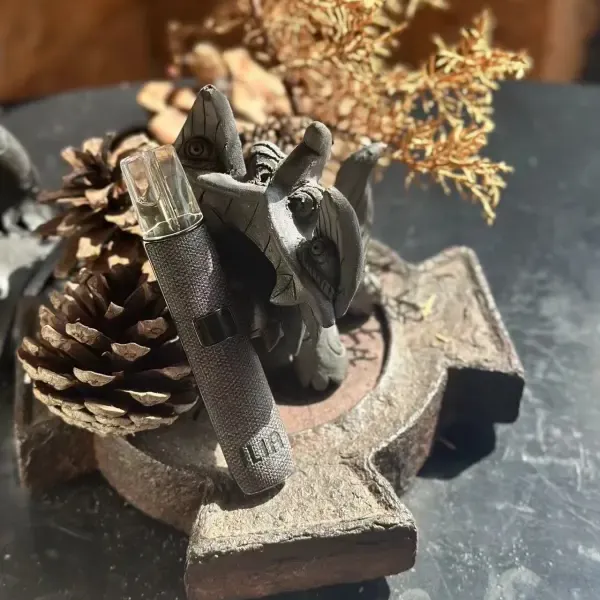 哩亞一代皮革主機